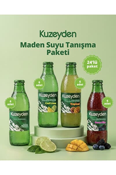 Maden Suyu Tanışma Paketi | 24x200ml | 6 x Sade,Berry Mix, Tropical, Cool Lime